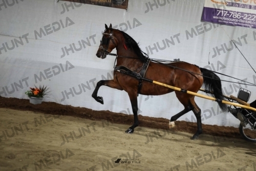 JHM_1408