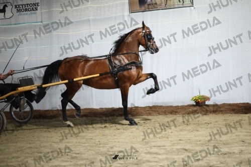 JHM_1415