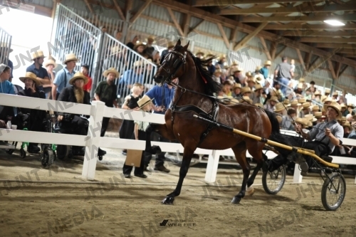 JHM_1417