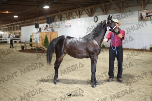 JHM_1420