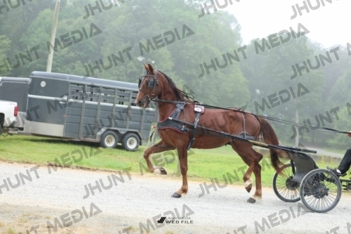 JHM_0638