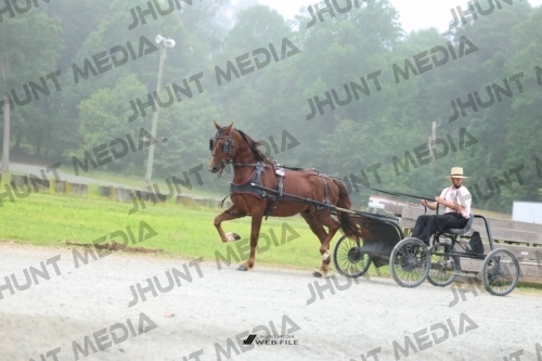 JHM_0646