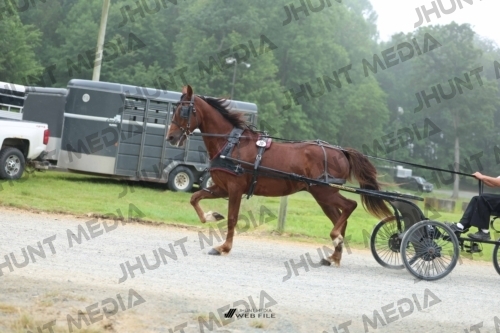 JHM_0662