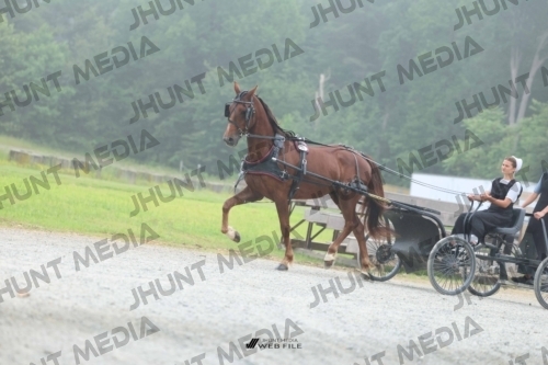 JHM_0682