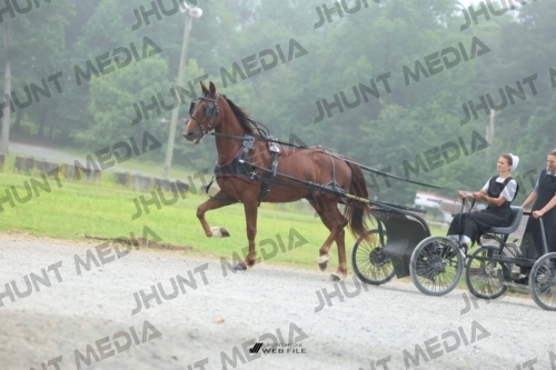 JHM_0683