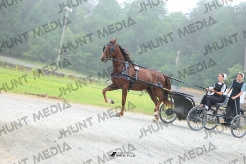 JHM_0710