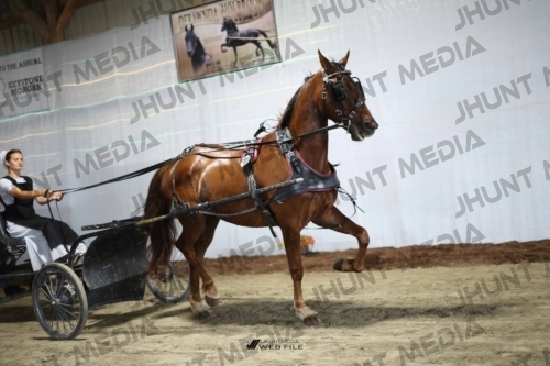 JHM_1440