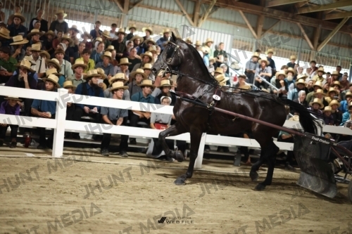 JHM_1444