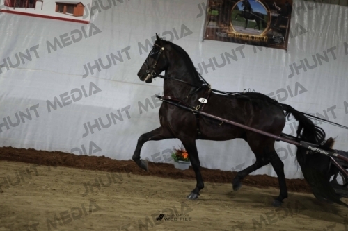 JHM_1446