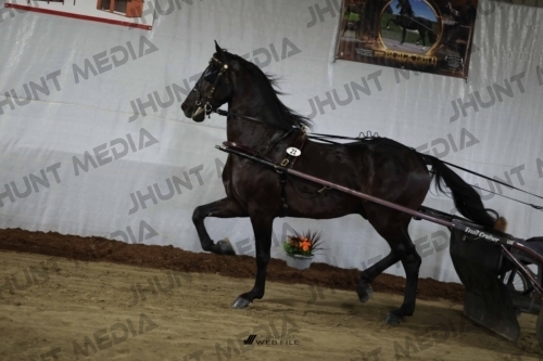 JHM_1448
