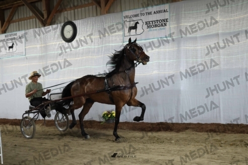 JHM_1461
