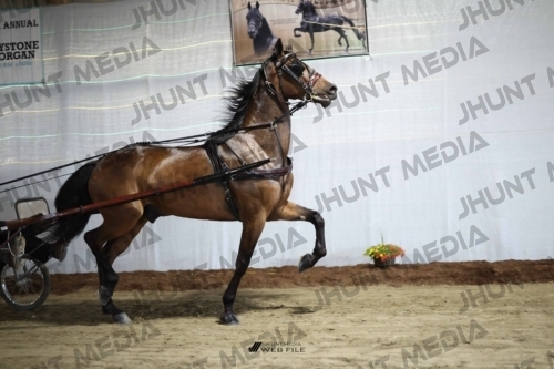 JHM_1462