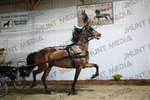 JHM_1464