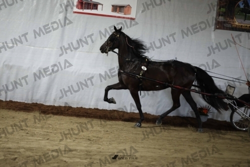 JHM_1469