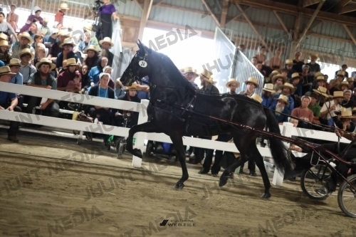JHM_1479