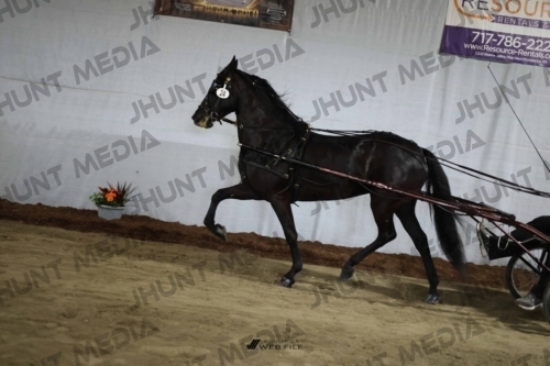 JHM_1481