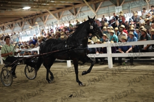 JHM_1482