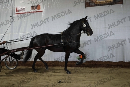 JHM_1483