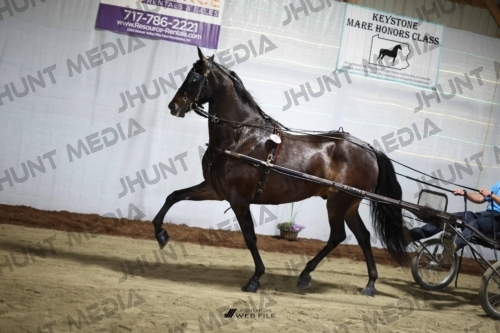 JHM_1485