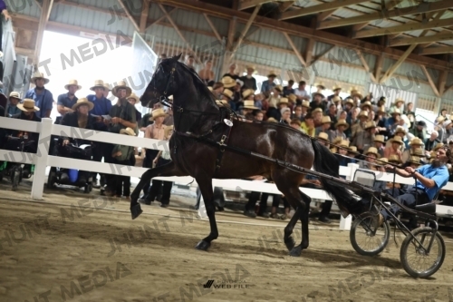 JHM_1486