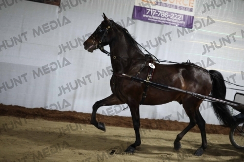 JHM_1496