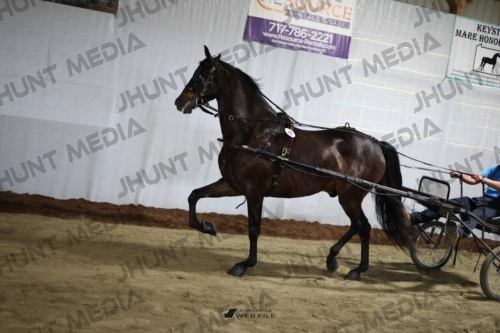 JHM_1498