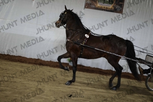 JHM_1499