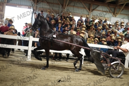 JHM_1815