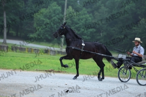 JHM_0333