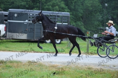 JHM_0342