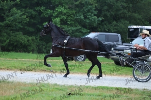 JHM_0343