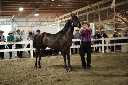 JHM_1779