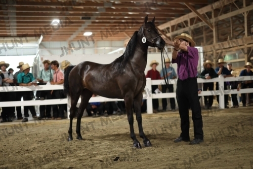 JHM_1781