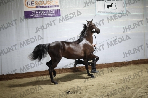 JHM_1782