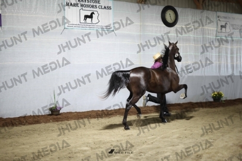 JHM_1783