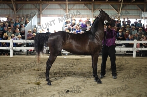 JHM_1789