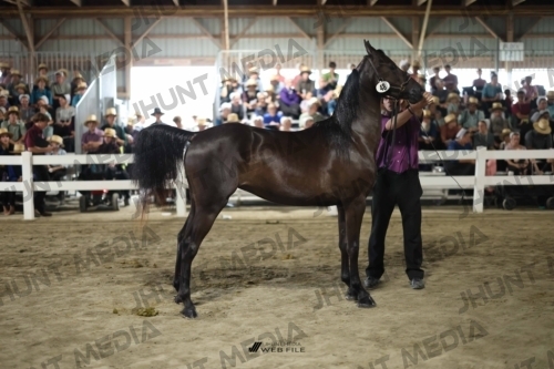 JHM_1790