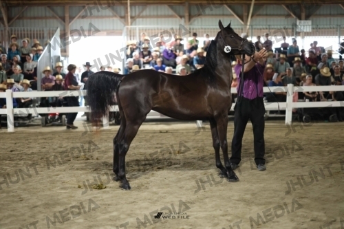 JHM_1791