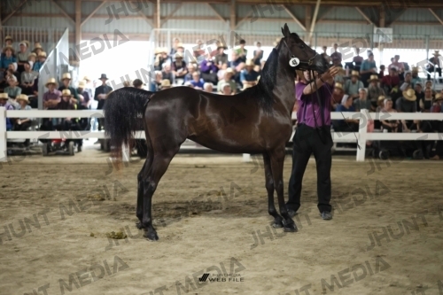 JHM_1792