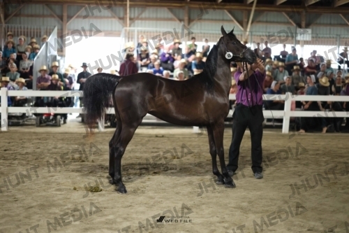 JHM_1793