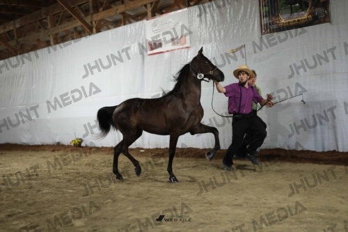JHM_1795