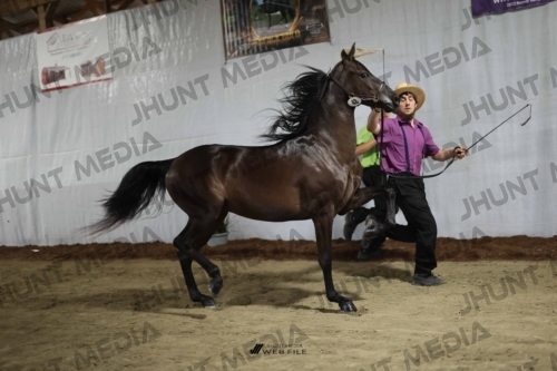 JHM_1796