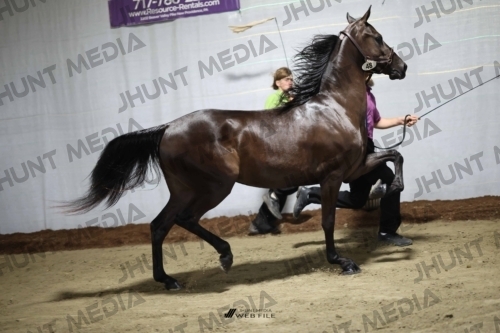 JHM_1797