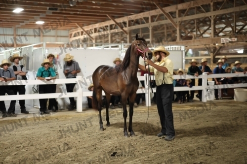 JHM_1760