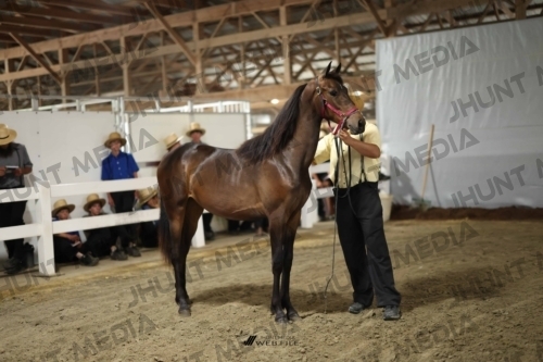 JHM_1762