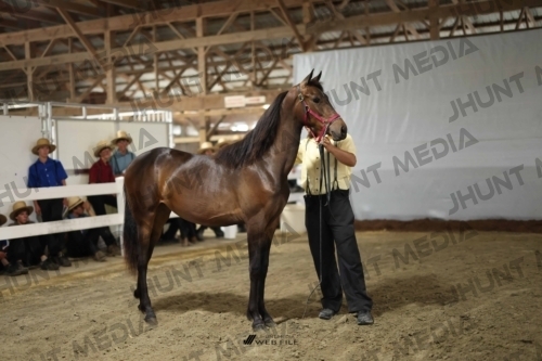JHM_1763