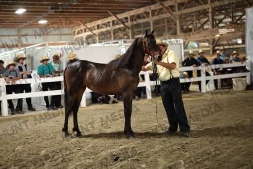 JHM_1765