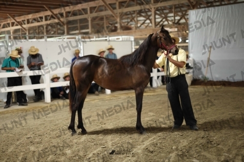 JHM_1766