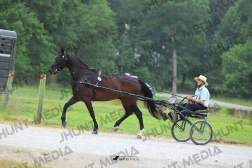 JHM_0369