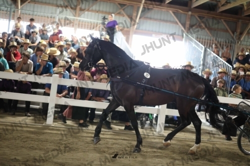 JHM_1506